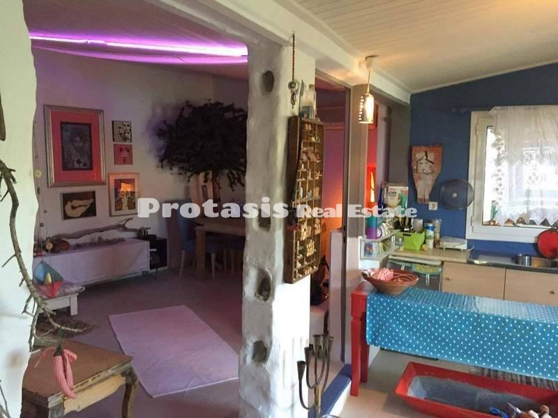 Detached House for Sale Edipsos (code P-416)