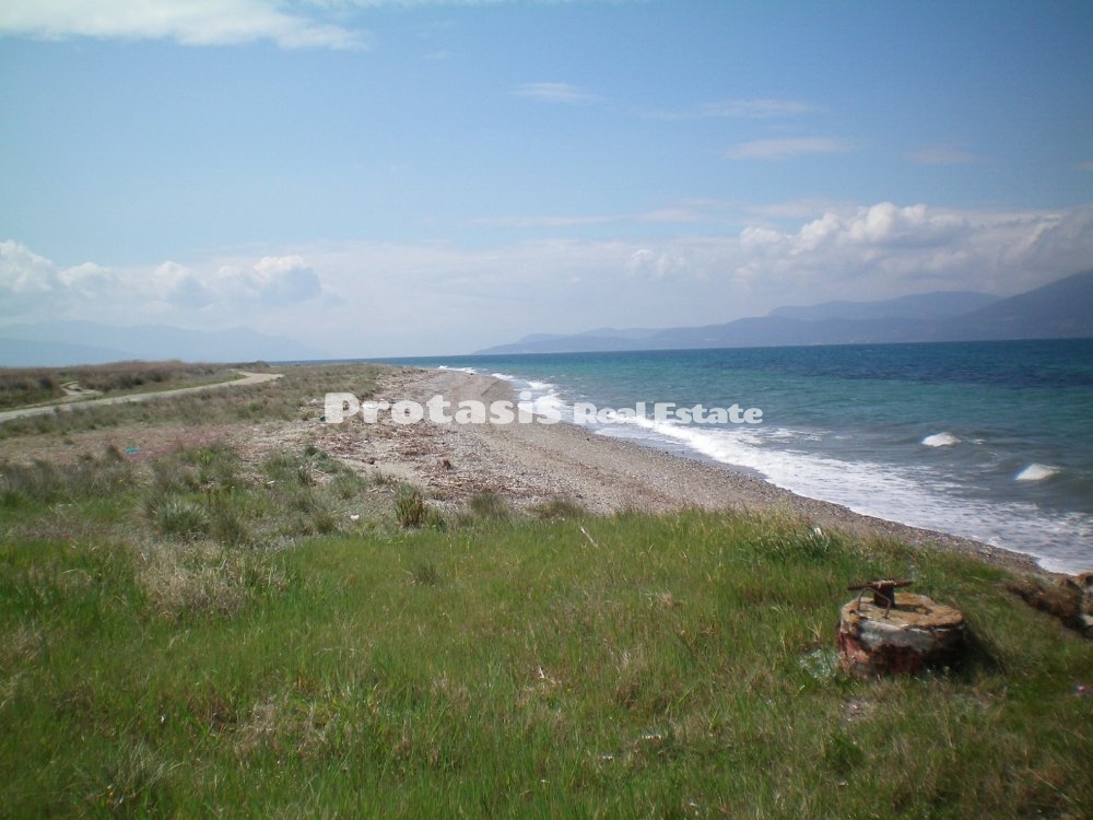 Detached House for Sale Oreoi (code P-445)