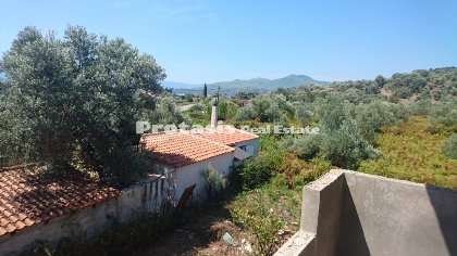 Detached House for Sale Edipsos Loutra, North Evia (code P-560)