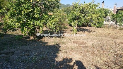 Land for Sale - North Evia