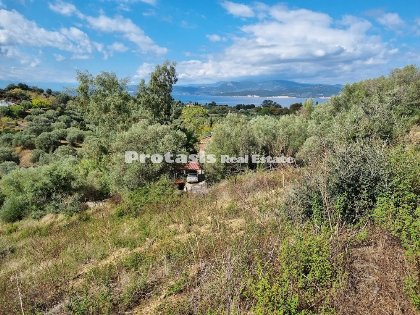 Agriculture Land למכירה Agiokabos, North Evia (קוד P-627)