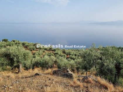 Agriculture Land for Sale - North Evia