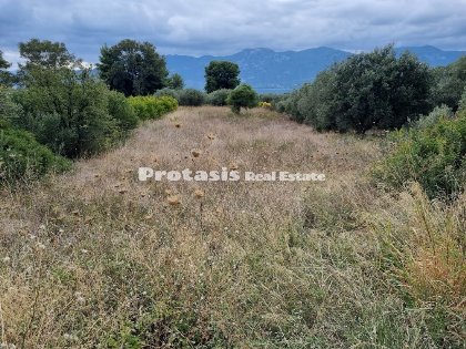 Landwirtschaftsfläche zu Verkaufen Agios Georgios Lihados, Nord Euboea (Code P-650)