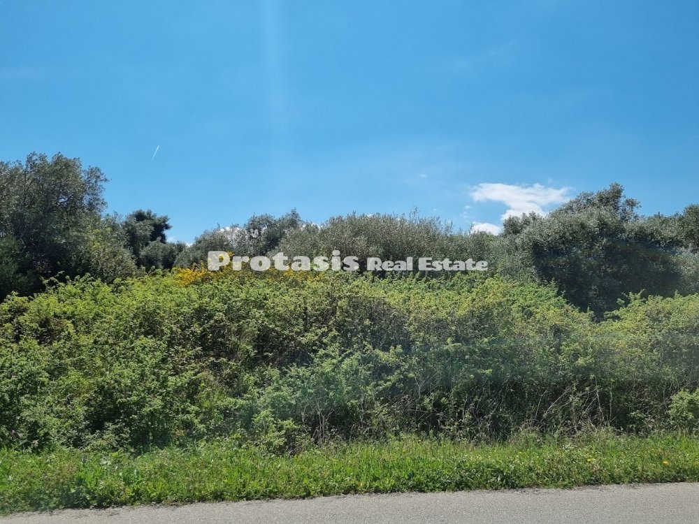 Agriculture Land with Olive Trees for Sale Kefales (code P-684)