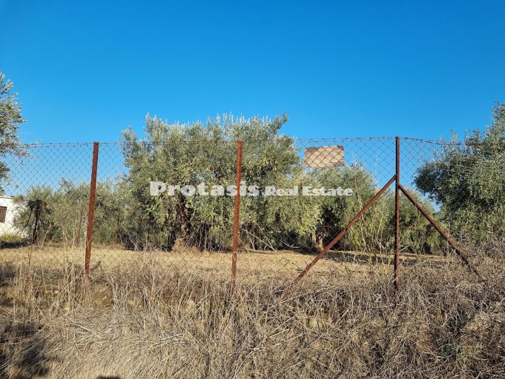Agriculture Land for Sale Taxiarchis (code P-757)