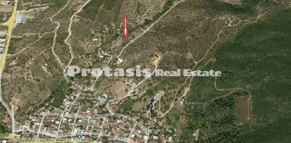 Agriculture Land для продажи Edipsos, North Evia (код P-748)