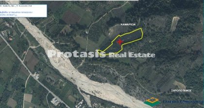 Agriculture Land with Olive Trees for Sale - North Evia