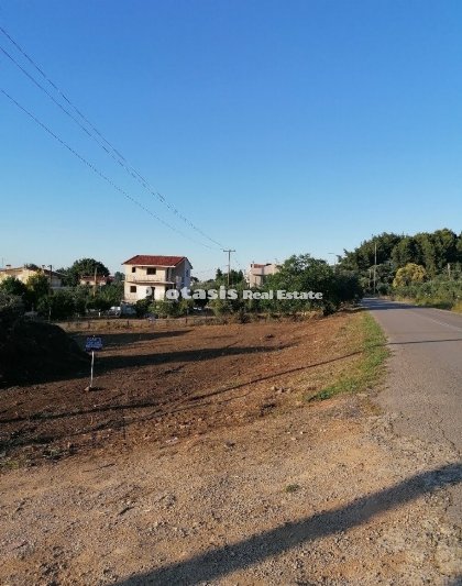Land for Sale Pefki, North Evia (code P-547)