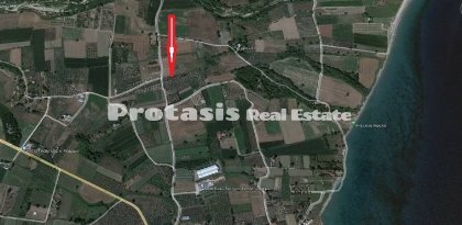 Agriculture Land with Olive Trees for Sale - North Evia