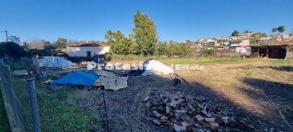 Land for Sale Asminio, North Evia (code P-910)