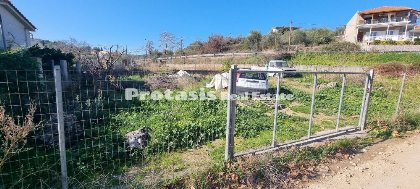 Land for Sale Asminio, North Evia (code P-912)